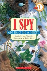 I Spy an Egg in a Nest Cover