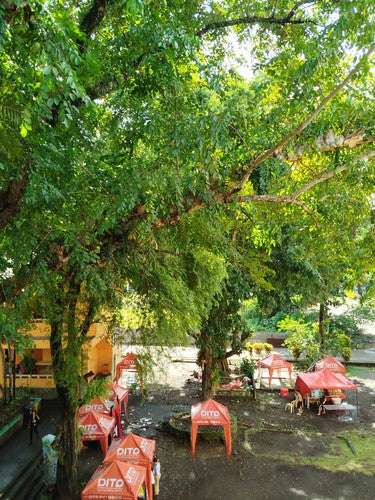 The Wizards of Once: Twice Magic Cover