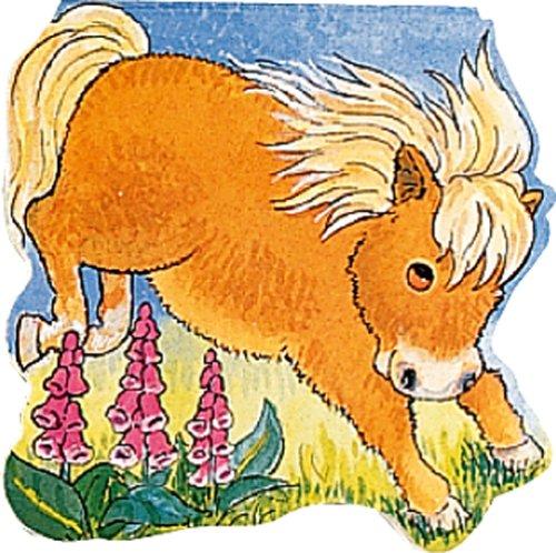 Pocket Pony