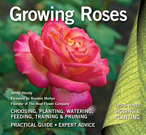 Growing Roses Cover