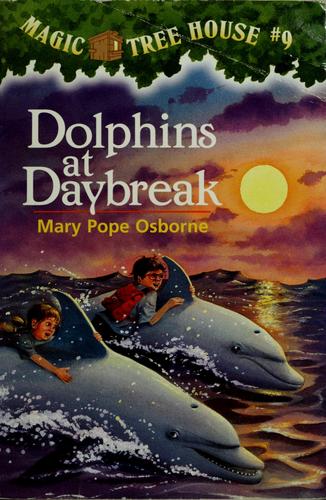 Dolphins at Daybreak Cover