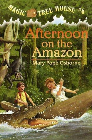 Afternoon on the Amazon Cover