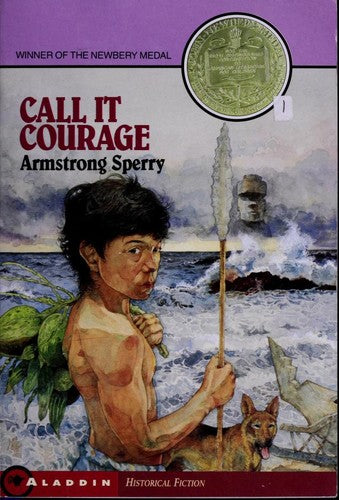 Call It Courage/Newbery Summer Cover