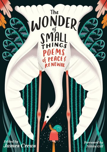 The Wonder of Small Things Cover