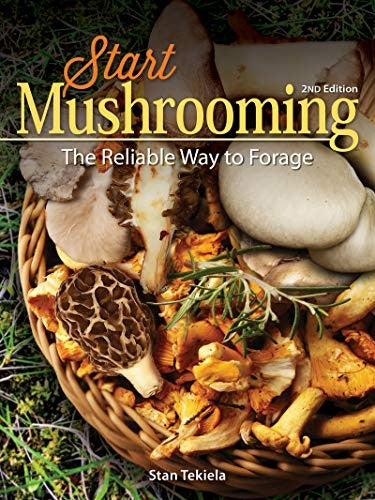 Start Mushrooming Cover