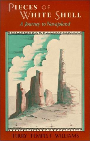 Pieces of White Shell